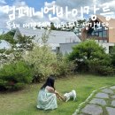 컴페니언 펫 | 컴페니언바이강릉 애견펜션 기대보단 아쉬움