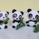 반려식물 원예아트 이미지