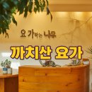 요가1.(오전반) | 까치산역 요가 찾는다면? 요가하는 나무 리뷰