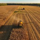 농업회사법인현대유통 이미지