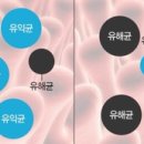 럽뷰티