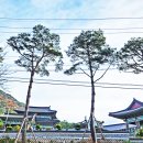 금산사길 티스토리