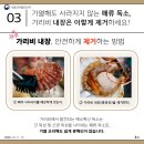 더가리비 이미지