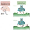 칠곡동아정신건강의학과의원 | 약 한 알로 집중력이 쑥쑥?...‘공부 잘 하는 약’의 진실