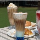 더블링독 이미지