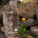 고래상점제주 이미지