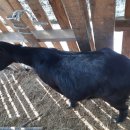 산북농장 이미지