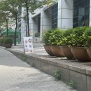 이대식품 | 이대역 포케 맛집 | 시드위드 - 생애 가장 맛있는 포케 발견,신촌 브런치 포케 맛집 솔직 후기