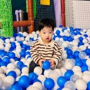 가-15 | 15개월 아기와 가볼 만한 곳 | 쥬라리움 금천점 후기