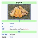 돈동 | [제주/김녕] 환승연애 구좌 김녕 비건 한식 오마카세 '김녕식당'