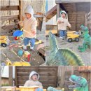 티마루풀빌라스테이 | 스테이풀빌라 : 강원도 강릉키즈펜션 독채풀빌라 후기