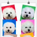 독트럴파크 이미지