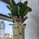 소현세무회계 네이버블로그