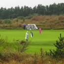 성읍리-9 이미지