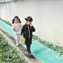 지윤농장 이미지