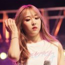 웅지 이미지