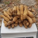 가지산천마영농조합 이미지