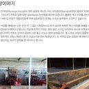 칸커피