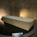 평화로운세상 이미지