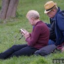 평창동시니어센터 네이버블로그