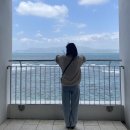 쉼표휴게김밥 | 오키나와 여행 3일차