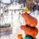 낙원스파랜드 | 겨울 캐리비안베이 할인 총정리, 온수 스파로 변신한 윈터스파캐비 후기