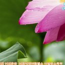 금강경강의 제5회:**금강경상식 풀이**(서 론)금강경이란/법문＜발심을 위한 네 가지 마음:종범스님＞ 이미지