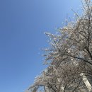 (주)아이랑 이미지