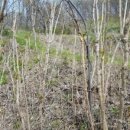 중하농장 이미지