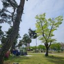 금강수변공원1 | [세종 금강 피크닉] 금강수변공원 피크닉! &amp; 고릴라캠핑 세종점!