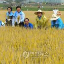 항동시장 이미지