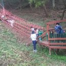 성운유치원 이미지