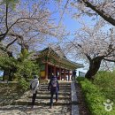 경포로 이미지
