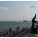 영일대약국 이미지