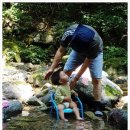 영서동막골농원