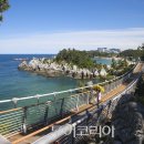 (주)묵호택시 이미지