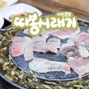 안송로113번길13 | 대전맛집 따봉시래기 봉명동 본점 내돈내산 맛집 (차돌+시래기=미친조합 따봉드립니다.)