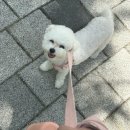 경산화인간호학원 | 안녕하세요 벤자민입니다.