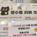 피피 | 부산 실내데이트 추천! 아이와 가볼만한곳 | 광안리 고양이카페 피피피 내돈내산 후기