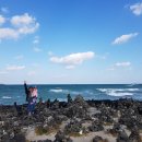 팜핑제주 이미지