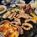 돈구어 이미지