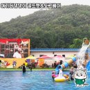 여기다댕댕이 골드펫&amp;도그베이, 강아지와 함께 여름을 즐기자! 🐶