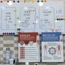 티나따숨플러스