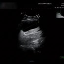 보람산부인과의원 이미지