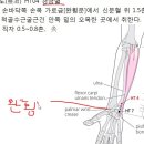 14.수소음심경 조회수 5천회 6년 전 이미지