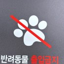 디자인몰 이미지