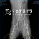 도촌 동물병원 이미지