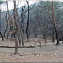 태성농장2 이미지