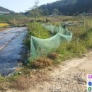 용소리마을회관 이미지