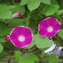 (주)이슬환경 이미지